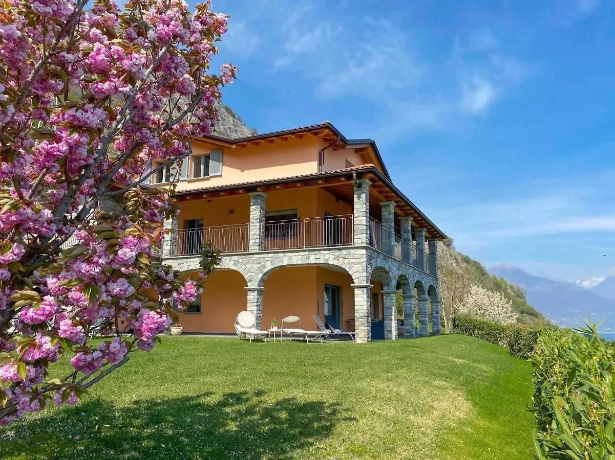 Piccola Orchidea Piccola Orchidea Giardino Ferienwohnung Mit Pool Musso